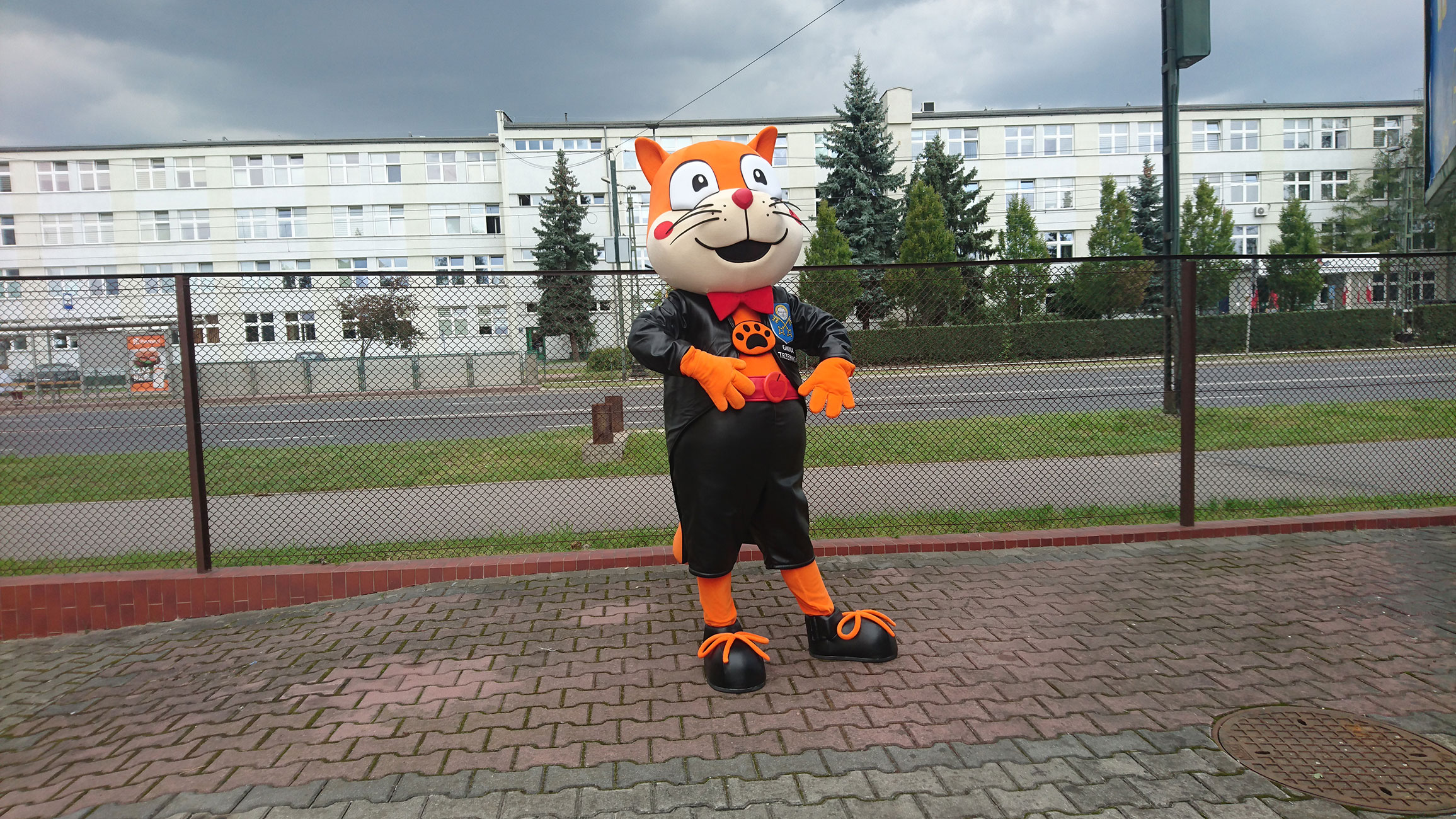 Na fotografii strój kota Super na jednej z krakowskich ulic. Za kostiumem reklamowym ulica i budynek biurowy 